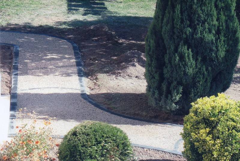 chemin et buisson